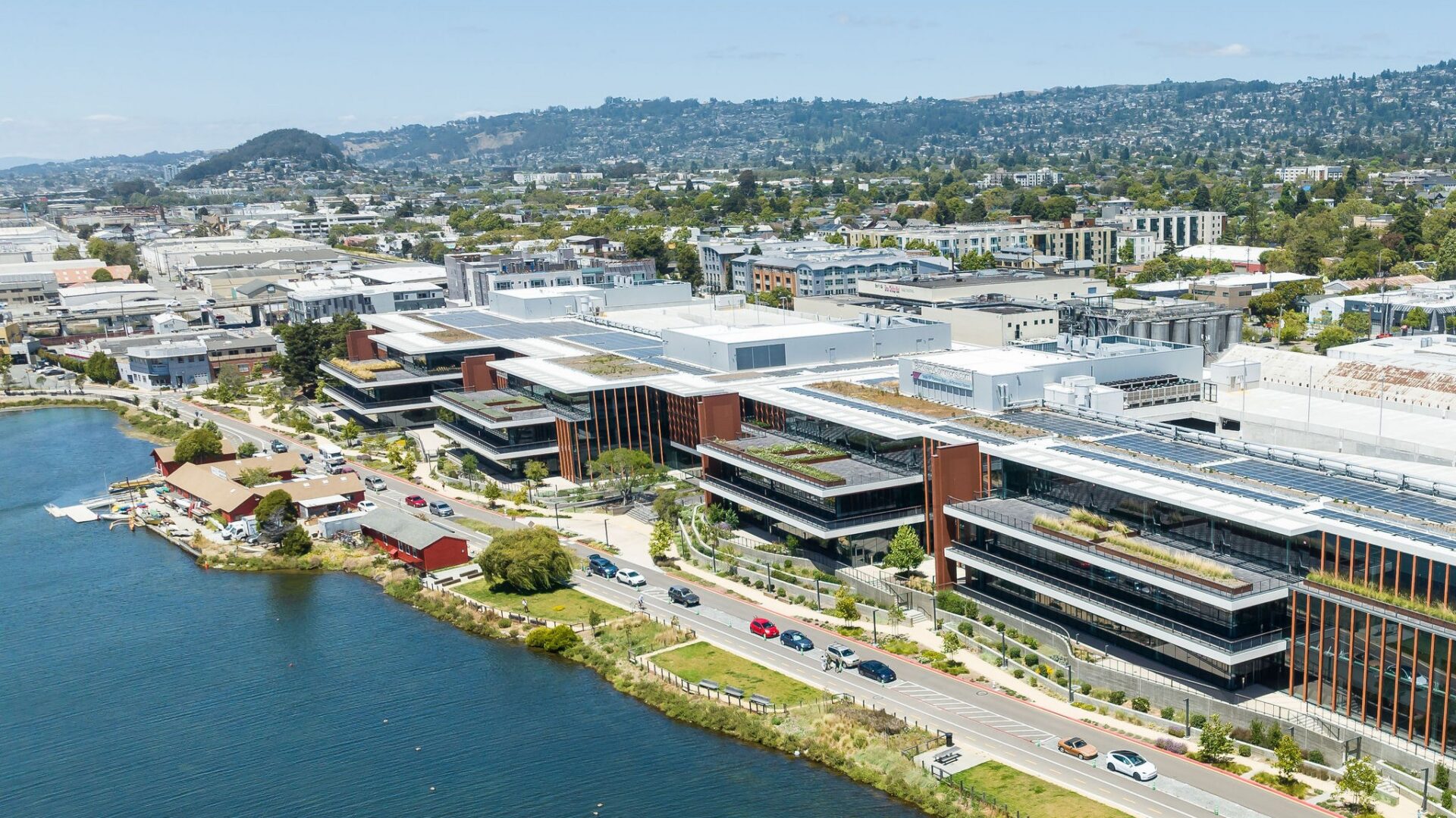 Berkeley Commons